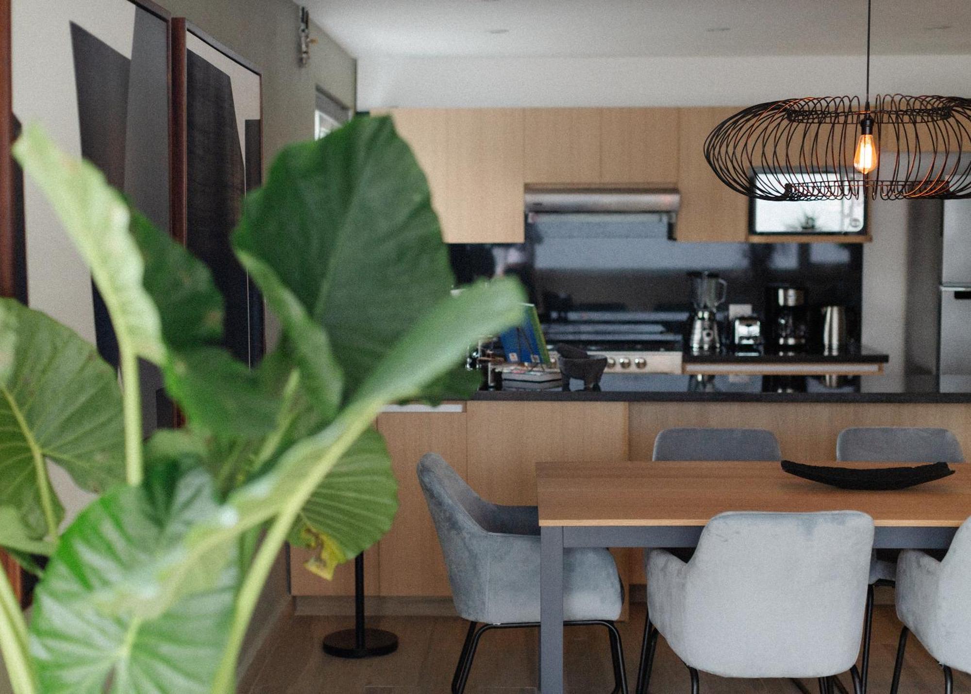 Elba By Mr W Apartment Mexico City Bilik gambar
